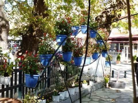 Sakis. Penzion *